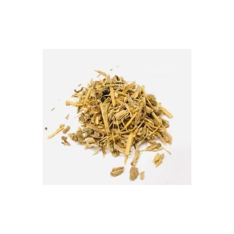 Incense herb angelica roots