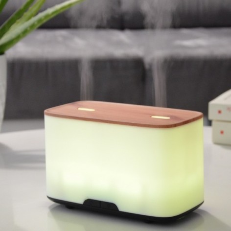 Ultrasonic Duo Diffuser