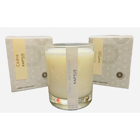 Soy wax candle Classic Collection