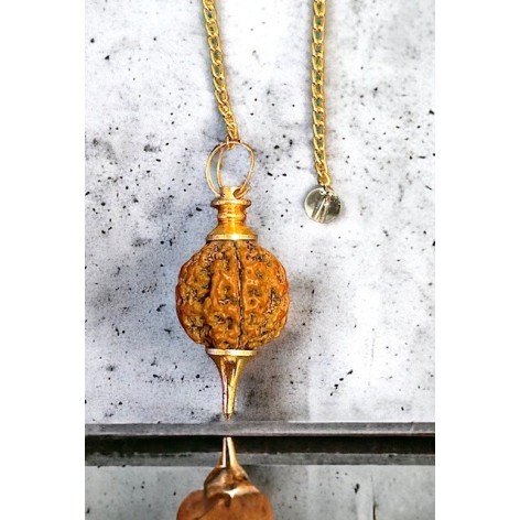 Golden Rudraksha seed clock