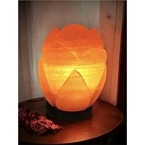 Lampe de sel Himalaya, Fleur