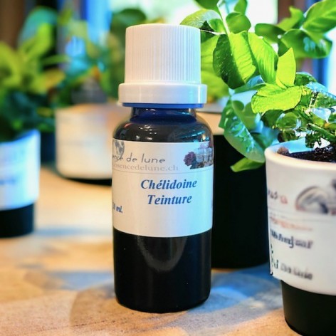 Celidonia mother tincture