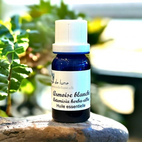 Organic white mugwort essential oil