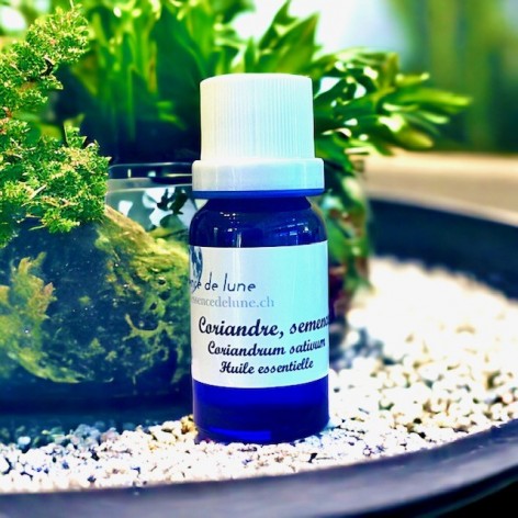 Essential oil, Coriander seed