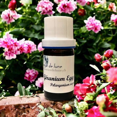 Organic rose geranium essential oil (Egypt)