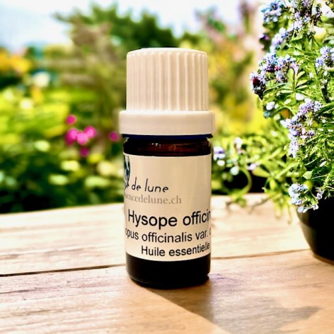 Organic hyssop essential oil