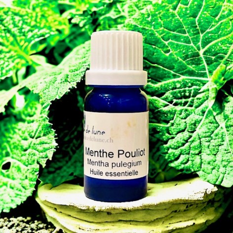 Huile essentielle, menthe pouliot bio