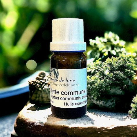 Organic common myrtle essential oil