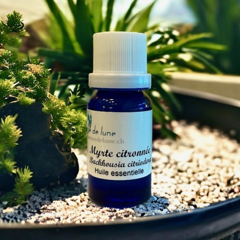 Huile essentielle, backhousia - myrte citronnée bio