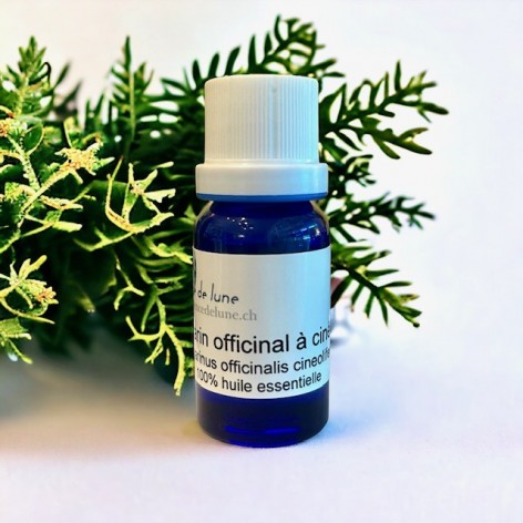 Ätherisches Öl, Rosmarin officinalis Cineol bio