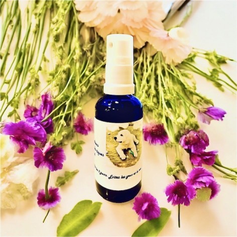 Flea & tick repellent for dogs