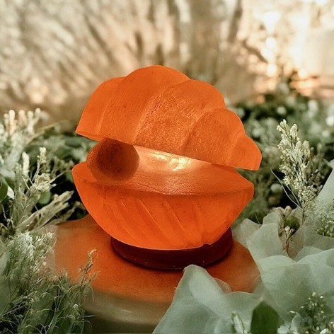 Himalaya salt lamp, shell and pearl