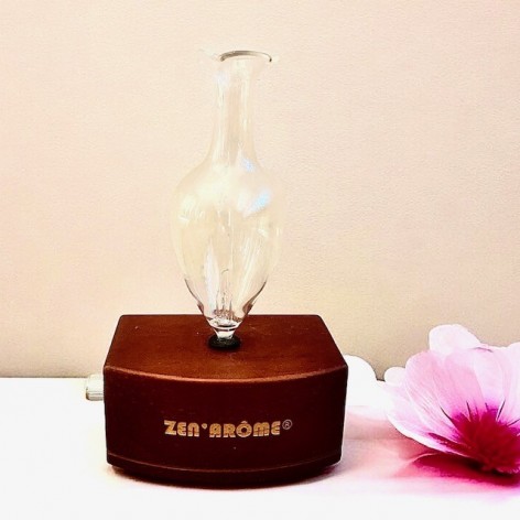 Diffuser for essential oils Pro