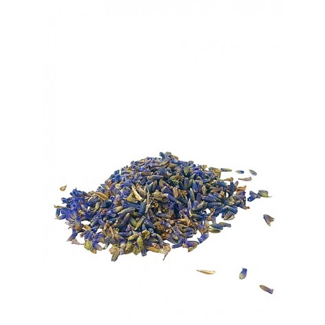 Fine lavender flowers