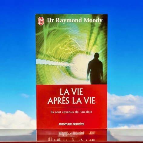 La vie après la vie
