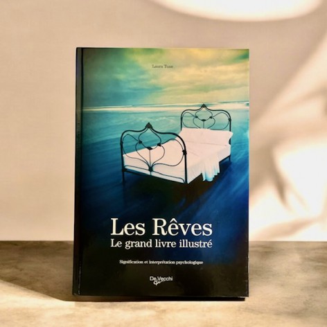 Dreams, the big illustrated book