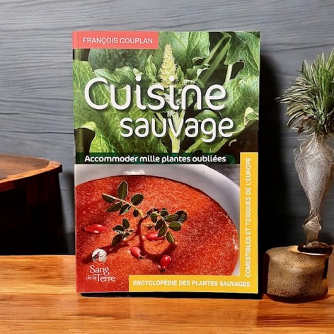 La cuisine sauvage - A thousand forgotten plants