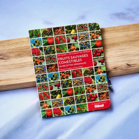 Fruits sauvages comestibles