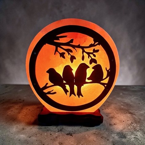 Salzlampe, Vögel