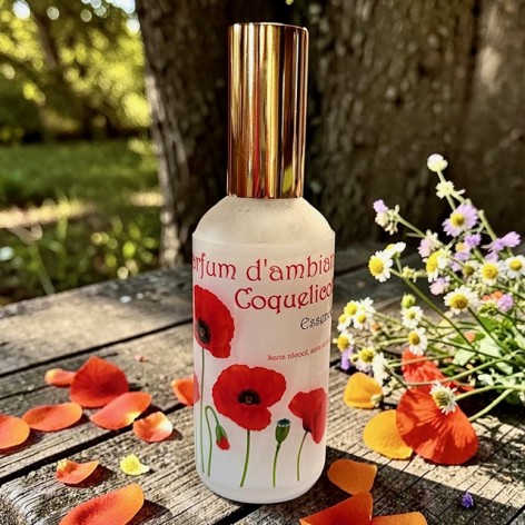 Spray parfum d'ambiance