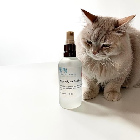 Cat Repellent Spray