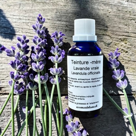 True Lavender Mother Tincture